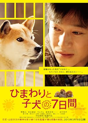 Seven Days of Himawari and Her Puppies poster